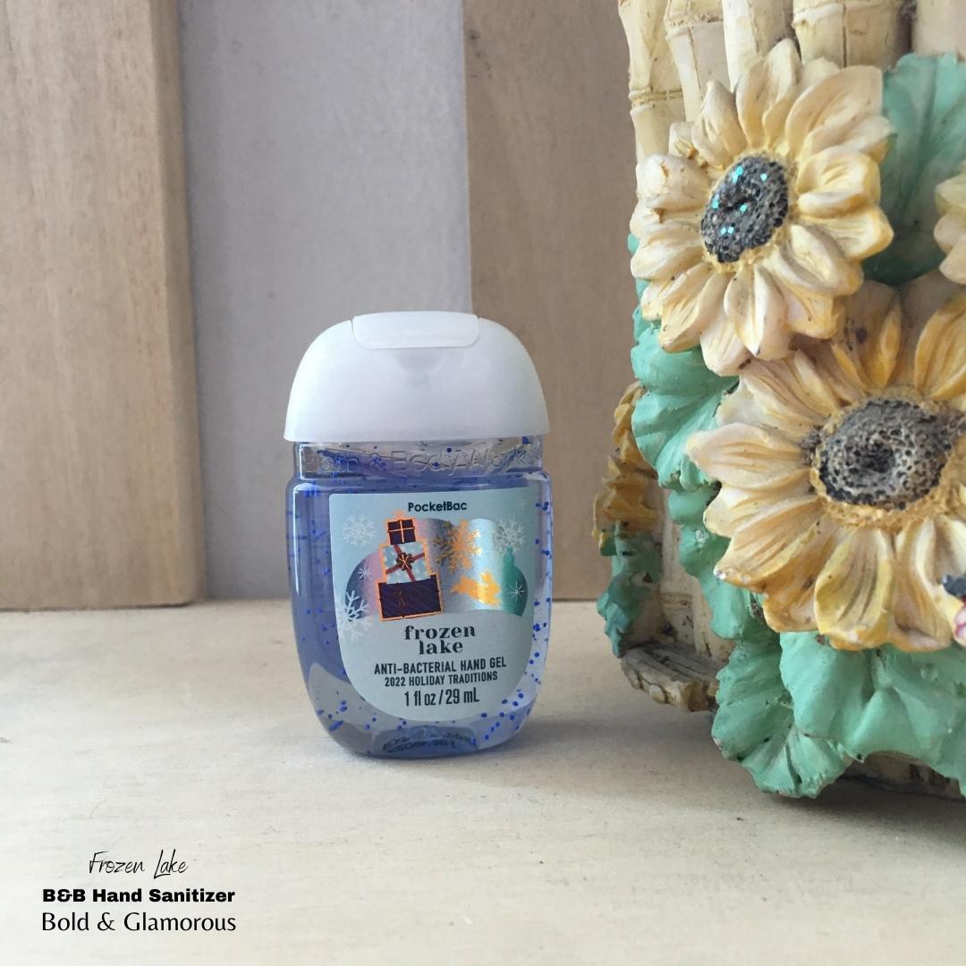 Bath and Body Works Hand Sanitizers | Frozen Lake