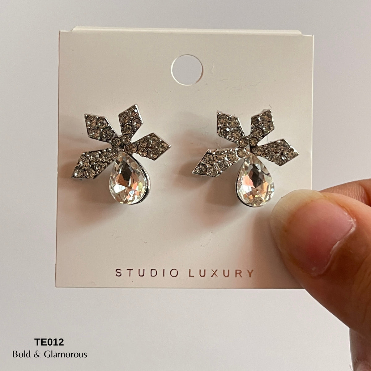 Earring TE012