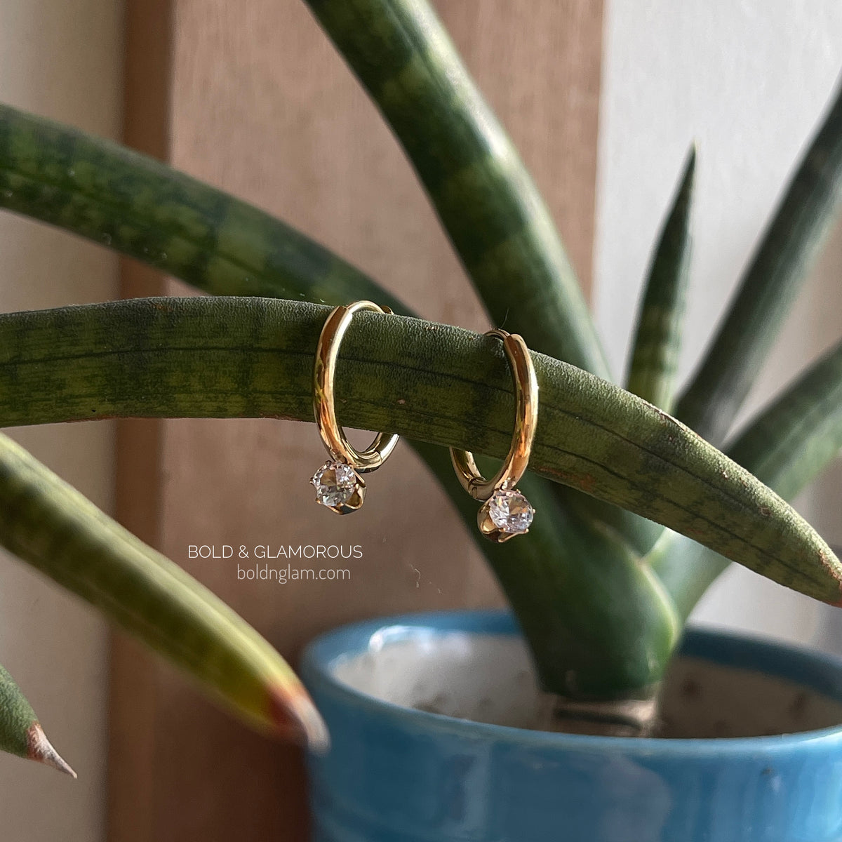 Hoop Earring Single Stone