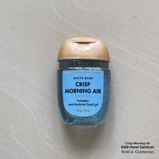 Bath and Body Works Hand Sanitizers | Crisp Morning Air