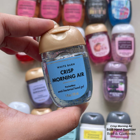 Bath and Body Works Hand Sanitizers | Crisp Morning Air