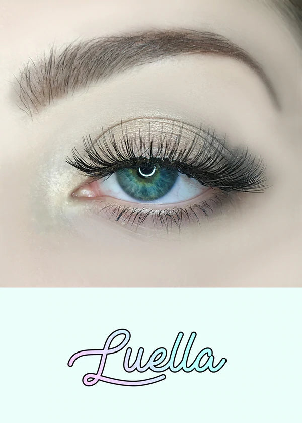 AOA Studio Lashes | Luella