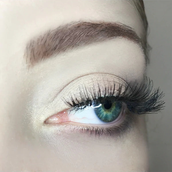 AOA Studio Lashes | Luella