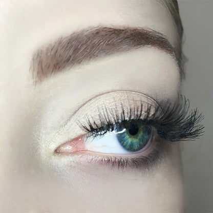 AOA Studio Lashes | Luella
